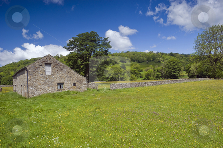To use this stock image in your creative project, please select the size you need over to the right and click the "Add to Cart" button.
Your downloaded image will come with the Cutcaster watermark removed so don’t worry about the watermark you see on this page. Langstrothdale stock photo, Langstrothdale in Yorkshire Dales North Yorkshire England by Stephen Meese