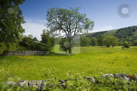 To use this stock image in your creative project, please select the size you need over to the right and click the "Add to Cart" button.
Your downloaded image will come with the Cutcaster watermark removed so don’t worry about the watermark you see on this page. Langstrothdale stock photo, Langstrothdale in Yorkshire Dales North Yorkshire England by Stephen Meese