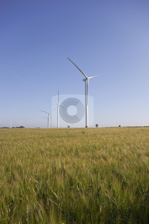 To use this stock image in your creative project, please select the size you need over to the right and click the "Add to Cart" button.
Your downloaded image will come with the Cutcaster watermark removed so don’t worry about the watermark you see on this page. Wind farm near a barley field stock photo, Wind turbines on horizon of barley field on summer day by Mike Smith
