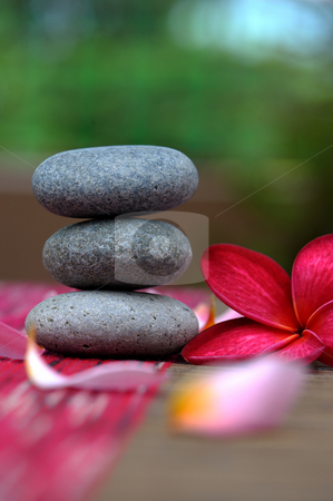 To use this stock image in your creative project, please select the size you need over to the right and click the "Add to Cart" button.
Your downloaded image will come with the Cutcaster watermark removed so don’t worry about the watermark you see on this page. Spa stone stock photo, Spa stone and red plumeria by Jaggat Images
