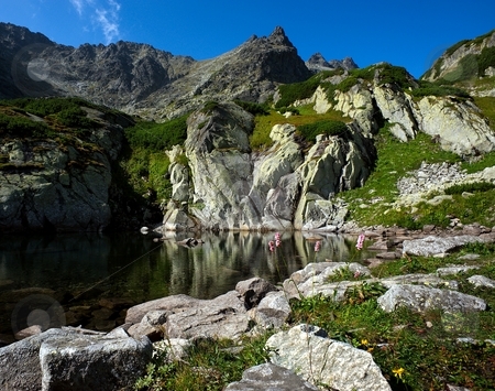 To use this stock image in your creative project, please select the size you need over to the right and click the "Add to Cart" button.
Your downloaded image will come with the Cutcaster watermark removed so don’t worry about the watermark you see on this page. Mountain lake scenery with flower stock photo, Mountain lake scenery with pink flowers in a summer day by Juraj Kovacik