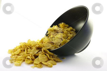 To use this stock image in your creative project, please select the size you need over to the right and click the "Add to Cart" button.
Your downloaded image will come with the Cutcaster watermark removed so don’t worry about the watermark you see on this page. Cornflakes Spilling out of a Bowl stock photo, Golden cornflakes spilling out of a round black bowl on a white background by Keith Wilson