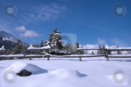 To use this stock image in your creative project, please select the size you need over to the right and click the "Add to Cart" button.
Your downloaded image will come with the Cutcaster watermark removed so don’t worry about the watermark you see on this page. Snow and Blue Skys 2 stock photo, View of pine trees right afrer a snow storm With a wood fence in the foreground with deep blue sky's by Mark Smith