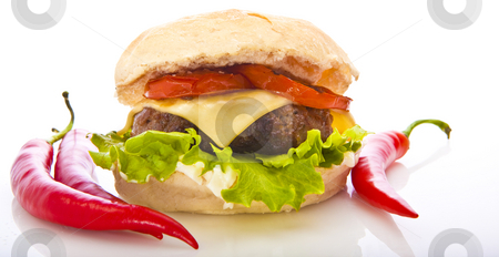 To use this stock image in your creative project, please select the size you need over to the right and click the "Add to Cart" button.
Your downloaded image will come with the Cutcaster watermark removed so don’t worry about the watermark you see on this page. Chili Burger stock photo, Chili Burger by Jon Le-Bon