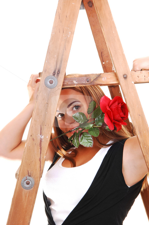 To use this stock image in your creative project, please select the size you need over to the right and click the "Add to Cart" button.
Your downloaded image will come with the Cutcaster watermark removed so don’t worry about the watermark you see on this page. Pretty girl under the stepladder. stock photo, Young, lovely girl in black pants and top, with white shirt holding a red rose
in her mouth and sitting under the stepladder, for white background. by Horst Petzold