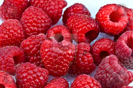 To use this stock image in your creative project, please select the size you need over to the right and click the "Add to Cart" button.
Your downloaded image will come with the Cutcaster watermark removed so don’t worry about the watermark you see on this page. Fresh ripe raspberry stock photo, Fresh ripe raspberry by Oleg Karpenko