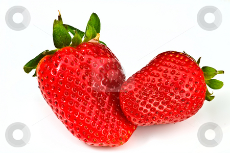 To use this stock image in your creative project, please select the size you need over to the right and click the "Add to Cart" button.
Your downloaded image will come with the Cutcaster watermark removed so don’t worry about the watermark you see on this page. Two strawberries stock photo, Two fresh ripe strawberries on white background by Oleg Karpenko