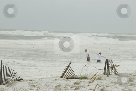 To use this stock image in your creative project, please select the size you need over to the right and click the "Add to Cart" button.
Your downloaded image will come with the Cutcaster watermark removed so don’t worry about the watermark you see on this page. Gustav Surf Swamping stock photo, PENSACOLA - SEP 1: A couple becomes inundated by the incoming surf during Hurricane Gustav on September 1, 2008. Gustav generated a storm surge of 15 feet. by A Cotton Photo