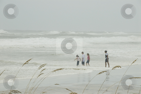 To use this stock image in your creative project, please select the size you need over to the right and click the "Add to Cart" button.
Your downloaded image will come with the Cutcaster watermark removed so don’t worry about the watermark you see on this page. Gustav Beach Goers stock photo, PENSACOLA - SEP 1: Beach goers experience the storm power during Hurricane Gustav on September 1, 2008. Gustav winds reached a max of 150mph. by A Cotton Photo