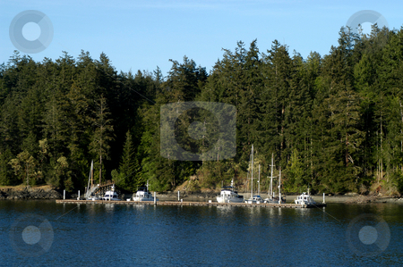 To use this stock image in your creative project, please select the size you need over to the right and click the "Add to Cart" button.
Your downloaded image will come with the Cutcaster watermark removed so don’t worry about the watermark you see on this page. Orcas Island stock photo, USA, Washington, Orcas Island by David Ryan