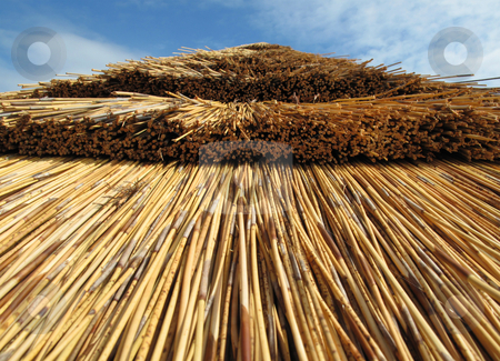 To use this stock image in your creative project, please select the size you need over to the right and click the "Add to Cart" button.
Your downloaded image will come with the Cutcaster watermark removed so don’t worry about the watermark you see on this page. A Thatched roof in gloucestershire stock photo, by Stephen Clarke