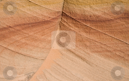 To use this stock image in your creative project, please select the size you need over to the right and click the "Add to Cart" button.
Your downloaded image will come with the Cutcaster watermark removed so don’t worry about the watermark you see on this page. Sandstone stock photo, Sandstone abstract, Vermilion Cliffs, Arizona, United States of America by mdphot