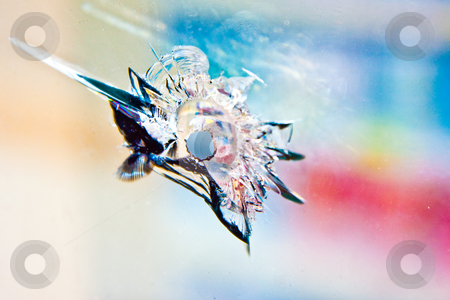 To use this stock image in your creative project, please select the size you need over to the right and click the "Add to Cart" button.
Your downloaded image will come with the Cutcaster watermark removed so don’t worry about the watermark you see on this page. Bullet-Hole stock photo, A jagged bullet hole in a Baltimore storefront. by Tyson Koska