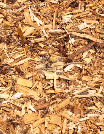 To use this stock image in your creative project, please select the size you need over to the right and click the "Add to Cart" button.
Your downloaded image will come with the Cutcaster watermark removed so don’t worry about the watermark you see on this page. Wood chips stock photo, Wood chips by Robert Biedermann