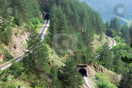 To use this stock image in your creative project, please select the size you need over to the right and click the "Add to Cart" button.
Your downloaded image will come with the Cutcaster watermark removed so don’t worry about the watermark you see on this page. Railroad tunnels stock photo, Railroad tunnels in tourist resort Mokra Gora in Serbia. by Ivan Paunovic