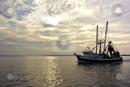 To use this stock image in your creative project, please select the size you need over to the right and click the "Add to Cart" button.
Your downloaded image will come with the Cutcaster watermark removed so don’t worry about the watermark you see on this page. Fishing trawler on the water at sunrise stock photo, Fishing trawler on the water and dramatic clouds at sunrise by Stephen Goodwin