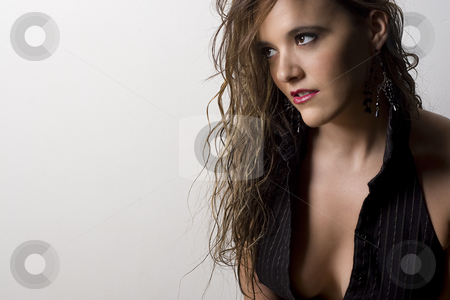 To use this stock image in your creative project, please select the size you need over to the right and click the "Add to Cart" button.
Your downloaded image will come with the Cutcaster watermark removed so don’t worry about the watermark you see on this page. Sexy business women stock photo, Young and sexy business women showing the inside of her blouse by Yann Poirier