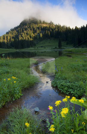 To use this stock image in your creative project, please select the size you need over to the right and click the "Add to Cart" button.
Your downloaded image will come with the Cutcaster watermark removed so don’t worry about the watermark you see on this page. Wildflower Stream stock photo, Yakima Peak partially shrouded in fog as a small stream trickles past wildflowers into Lake Tipsoo. by Mike Dawson