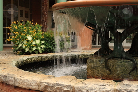 To use this stock image in your creative project, please select the size you need over to the right and click the "Add to Cart" button.
Your downloaded image will come with the Cutcaster watermark removed so don’t worry about the watermark you see on this page. Water Fountain stock photo, Botanical Gardens by Jack Schiffer