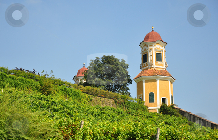 To use this stock image in your creative project, please select the size you need over to the right and click the "Add to Cart" button.
Your downloaded image will come with the Cutcaster watermark removed so don’t worry about the watermark you see on this page. Vineyard at Castle Stainz, Styria, Austria stock photo, Vineyard at Castle Stainz, Styria, Austria by Robert Biedermann