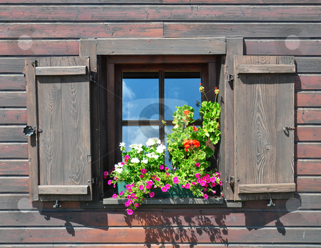 To use this stock image in your creative project, please select the size you need over to the right and click the "Add to Cart" button.
Your downloaded image will come with the Cutcaster watermark removed so don’t worry about the watermark you see on this page. Flowers at window stock photo, Flowers at window by Robert Biedermann