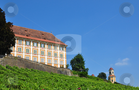To use this stock image in your creative project, please select the size you need over to the right and click the "Add to Cart" button.
Your downloaded image will come with the Cutcaster watermark removed so don’t worry about the watermark you see on this page. Vineyard at Castle Stainz, Styria, Austria stock photo, Vineyard at Castle Stainz, Styria, Austria by Robert Biedermann