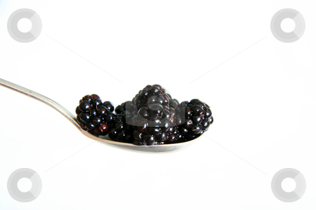 To use this stock image in your creative project, please select the size you need over to the right and click the "Add to Cart" button.
Your downloaded image will come with the Cutcaster watermark removed so don’t worry about the watermark you see on this page. Fresh Ripe Blackberry - Healthy Eating stock photo, Fresh Ripe Blackberry - Healthy Eating by Sam D'Cruz