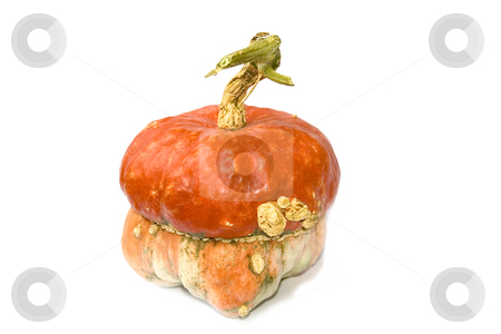 To use this stock image in your creative project, please select the size you need over to the right and click the "Add to Cart" button.
Your downloaded image will come with the Cutcaster watermark removed so don’t worry about the watermark you see on this page. Decorative pumpkin stock photo, Decorative pupkin on white background by Minka Ruskova-Stefanova