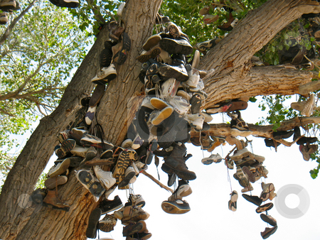 To use this stock image in your creative project, please select the size you need over to the right and click the "Add to Cart" button.
Your downloaded image will come with the Cutcaster watermark removed so don’t worry about the watermark you see on this page. Shoe Tree3 stock photo, Churchill County, Nevada US 50 near Middlegate by John Dickinson