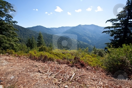 To use this stock image in your creative project, please select the size you need over to the right and click the "Add to Cart" button.
Your downloaded image will come with the Cutcaster watermark removed so don’t worry about the watermark you see on this page. Bear Camp Road stock photo, Bear Camp Road is a rugged mountain road traversing the Klamath Mountains in Josephine and Curry counties in the U.S. state of Oregon. by Mariusz Jurgielewicz