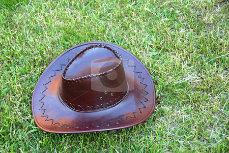 To use this stock image in your creative project, please select the size you need over to the right and click the "Add to Cart" button.
Your downloaded image will come with the Cutcaster watermark removed so don’t worry about the watermark you see on this page. Brown cowboy hat stock photo, Brown leather cowboy hat on green grass by Julija Sapic