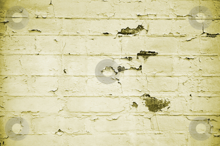 To use this stock image in your creative project, please select the size you need over to the right and click the "Add to Cart" button.
Your downloaded image will come with the Cutcaster watermark removed so don’t worry about the watermark you see on this page. Brick Wall Background Texture stock photo, A close up on an old brick wall background texture. by Travis Manley