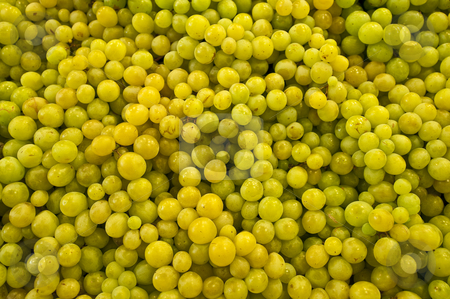 To use this stock image in your creative project, please select the size you need over to the right and click the "Add to Cart" button.
Your downloaded image will come with the Cutcaster watermark removed so don’t worry about the watermark you see on this page. Green grapes. stock photo, Green grapes at a fruits stand in the Boqueria Market, in Barcelona, Spain. by Anibal Trejo