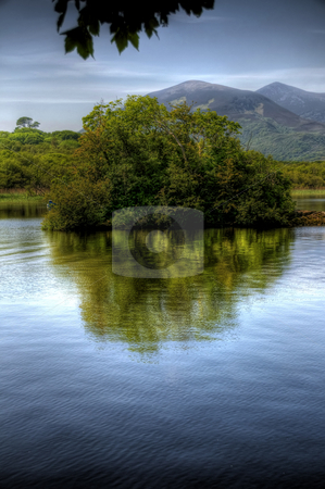 To use this stock image in your creative project, please select the size you need over to the right and click the "Add to Cart" button.
Your downloaded image will come with the Cutcaster watermark removed so don’t worry about the watermark you see on this page. Lonesome Bush in Kerry Lake stock photo, A scenic image of a small bushy island in a lake in Co Kerry, Ireland. The bsuh is casting a reflection in the water and there are overhanging leaves completing the composition. A group of mountains can be seen in the background. by Stephen Kiernan