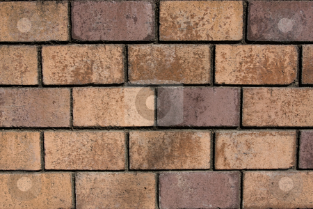 To use this stock image in your creative project, please select the size you need over to the right and click the "Add to Cart" button.
Your downloaded image will come with the Cutcaster watermark removed so don’t worry about the watermark you see on this page. Red Brick Wall stock photo, Close up of a red brick wall by Darren Pattterson