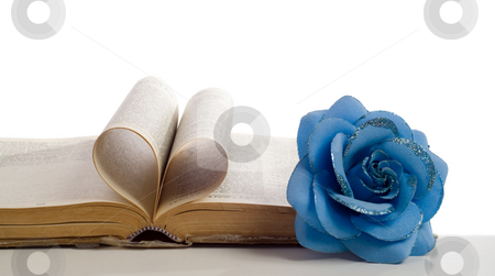 To use this stock image in your creative project, please select the size you need over to the right and click the "Add to Cart" button.
Your downloaded image will come with the Cutcaster watermark removed so don’t worry about the watermark you see on this page. Love My Bible stock photo, Concept of a loveable religion with a bible and it's pages making a heart shape along with a fake flower on the side, shot on white by Richard Nelson