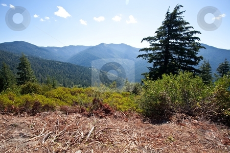 To use this stock image in your creative project, please select the size you need over to the right and click the "Add to Cart" button.
Your downloaded image will come with the Cutcaster watermark removed so don’t worry about the watermark you see on this page. Bear Camp Road stock photo, Bear Camp Road is a rugged mountain road traversing the Klamath Mountains in Josephine and Curry counties in the U.S. state of Oregon. by Mariusz Jurgielewicz