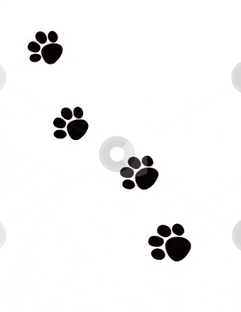 To use this stock image in your creative project, please select the size you need over to the right and click the "Add to Cart" button.
Your downloaded image will come with the Cutcaster watermark removed so don’t worry about the watermark you see on this page. Pawprints stock photo, Black silhouettes of animal pawprints against white background. by Kathy Piper