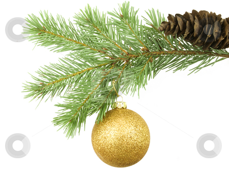 To use this stock image in your creative project, please select the size you need over to the right and click the "Add to Cart" button.
Your downloaded image will come with the Cutcaster watermark removed so don’t worry about the watermark you see on this page. Golden Bauble stock photo, Golden bauble hanging on branch with white background by John Teeter
