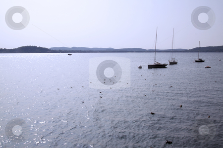 To use this stock image in your creative project, please select the size you need over to the right and click the "Add to Cart" button.
Your downloaded image will come with the Cutcaster watermark removed so don’t worry about the watermark you see on this page. Lake stock photo, Beautiful view of lake and blue sky, with sails by Fabio Alcini