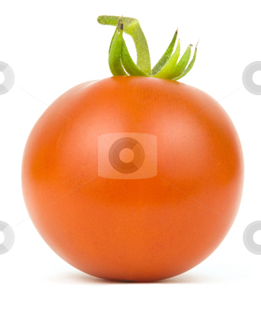 To use this stock image in your creative project, please select the size you need over to the right and click the "Add to Cart" button.
Your downloaded image will come with the Cutcaster watermark removed so don’t worry about the watermark you see on this page. Tomato on white stock photo, Single ripe tomato on a white background by John Teeter