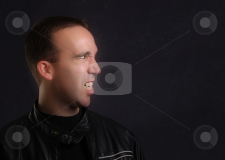 To use this stock image in your creative project, please select the size you need over to the right and click the "Add to Cart" button.
Your downloaded image will come with the Cutcaster watermark removed so don’t worry about the watermark you see on this page. Vampire Portrait stock photo, Profile view of a modern vampire wearing a leather jacket by Richard Nelson