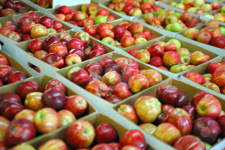 To use this stock image in your creative project, please select the size you need over to the right and click the "Add to Cart" button.
Your downloaded image will come with the Cutcaster watermark removed so don’t worry about the watermark you see on this page. Boxed Apples stock photo, Many boxes of fresh red and green apples on display for purchase by Lynn Bendickson