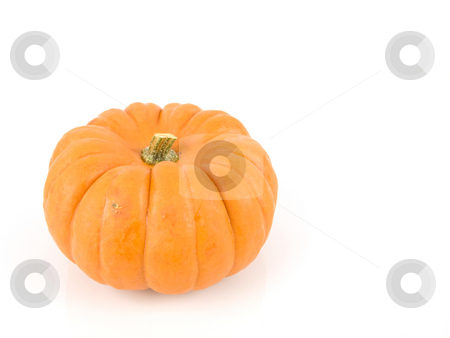To use this stock image in your creative project, please select the size you need over to the right and click the "Add to Cart" button.
Your downloaded image will come with the Cutcaster watermark removed so don’t worry about the watermark you see on this page. Small gourd pumpkin stock photo, Small gourd pumpkin on a white background by John Teeter