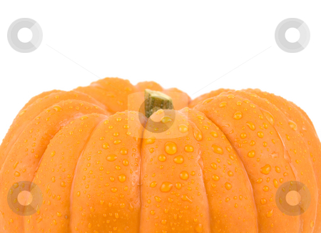 To use this stock image in your creative project, please select the size you need over to the right and click the "Add to Cart" button.
Your downloaded image will come with the Cutcaster watermark removed so don’t worry about the watermark you see on this page. Small gourd pumpkin stock photo, Small gourd pumpkin on a white background by John Teeter