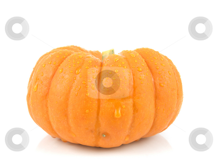 To use this stock image in your creative project, please select the size you need over to the right and click the "Add to Cart" button.
Your downloaded image will come with the Cutcaster watermark removed so don’t worry about the watermark you see on this page. Small gourd pumpkin stock photo, Small gourd pumpkin on a white background by John Teeter