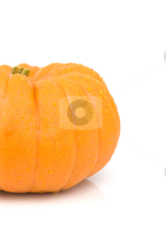 To use this stock image in your creative project, please select the size you need over to the right and click the "Add to Cart" button.
Your downloaded image will come with the Cutcaster watermark removed so don’t worry about the watermark you see on this page. Small gourd pumpkin stock photo, Small gourd pumpkin on a white background by John Teeter