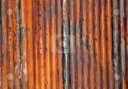 To use this stock image in your creative project, please select the size you need over to the right and click the "Add to Cart" button.
Your downloaded image will come with the Cutcaster watermark removed so don’t worry about the watermark you see on this page. Rusty old corrugated iron fence close up. stock photo, Rusty old corrugated iron fence close up. by Stephen Rees
