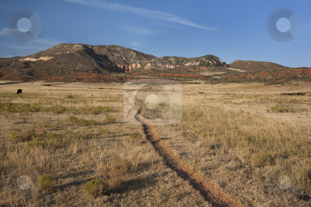 To use this stock image in your creative project, please select the size you need over to the right and click the "Add to Cart" button.
Your downloaded image will come with the Cutcaster watermark removed so don’t worry about the watermark you see on this page. Cattle trail in Colorado mountain valley stock photo, Cattle trail in Red Mountain Open Space, semi desert landscape in northern Colorado near Wyoming border, late summer by Marek Uliasz