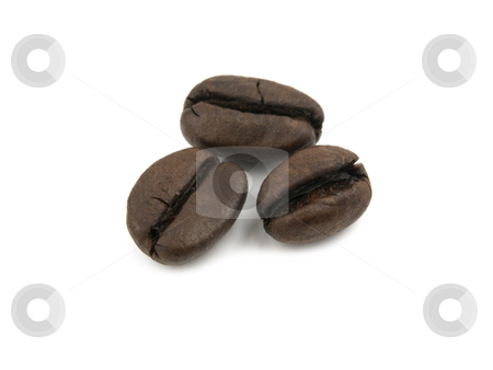 To use this stock image in your creative project, please select the size you need over to the right and click the "Add to Cart" button.
Your downloaded image will come with the Cutcaster watermark removed so don’t worry about the watermark you see on this page. Three Coffee Beans stock photo, Three coffee beans on a white background by John Teeter